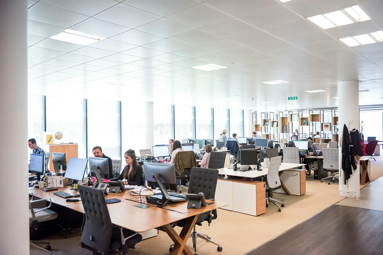 An open-plan corporate office floor in daylight: rows of workstations with monitors and a desk phone at every seat, staff at work, a window wall behind.