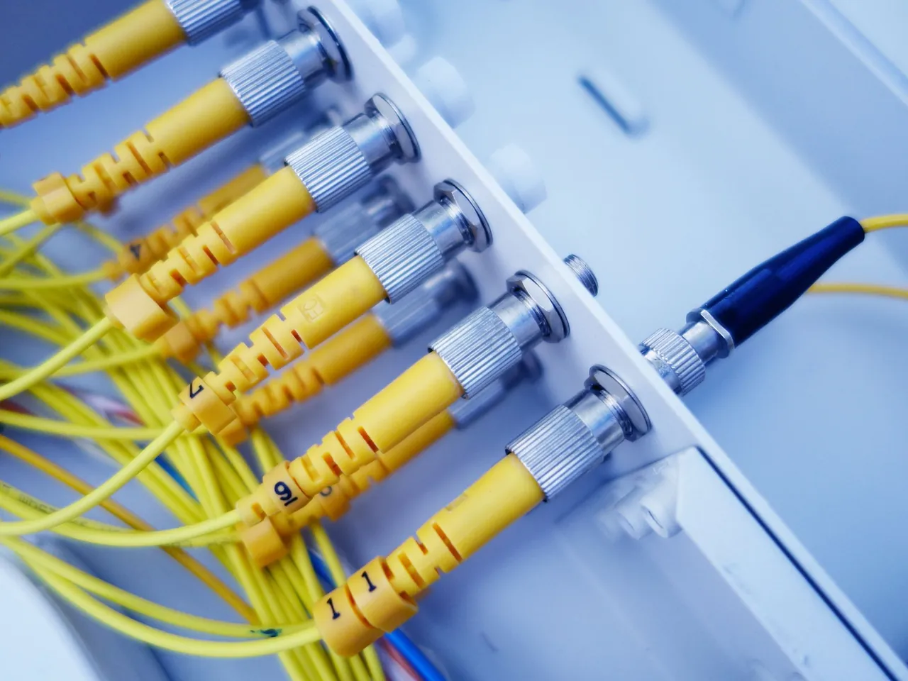 Yellow fiber optic cords with numbered connectors seated in a bright white network enclosure.