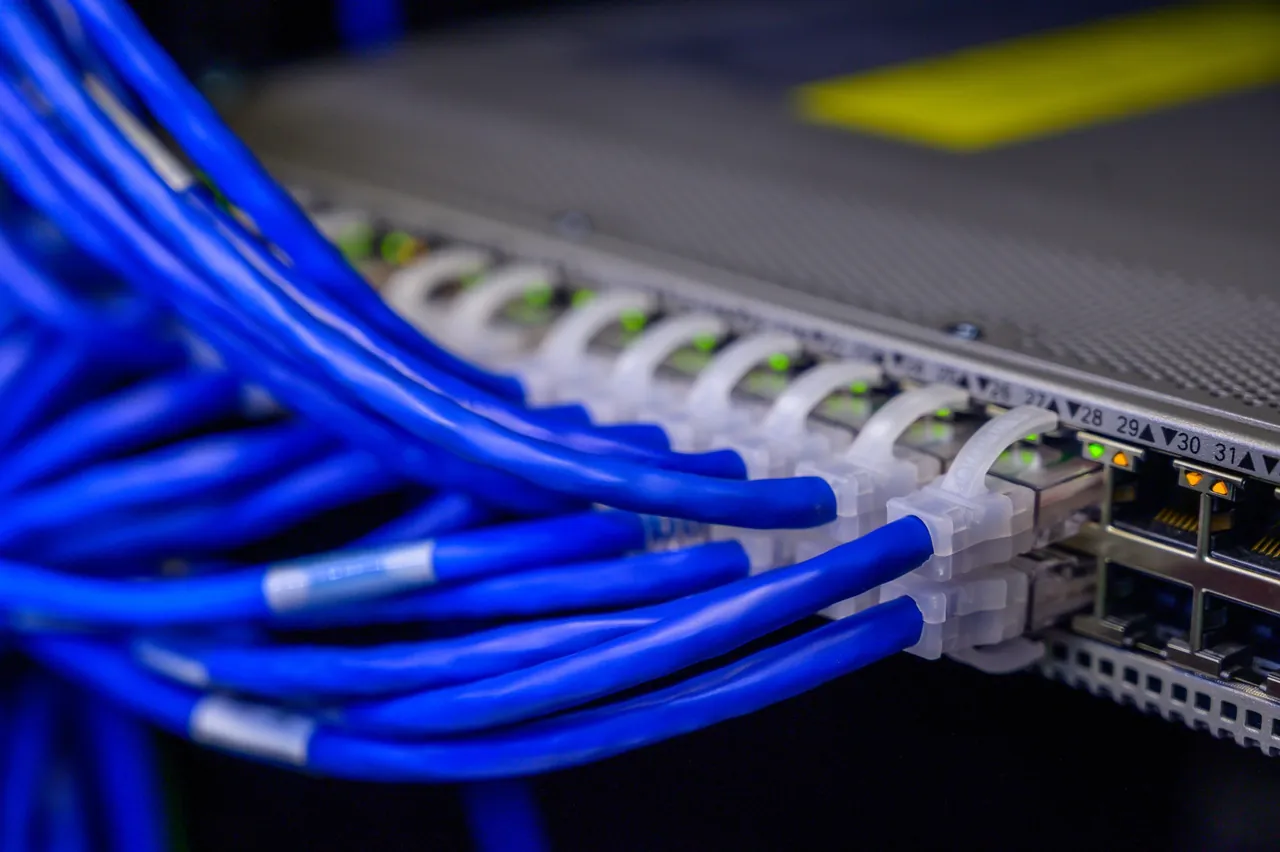 Blue network cables plugged into a row of ports on network equipment, status lights lit.